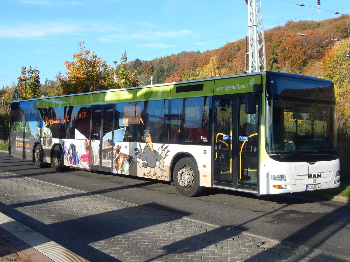 MAN Lion's City der VVR in Sassnitz.