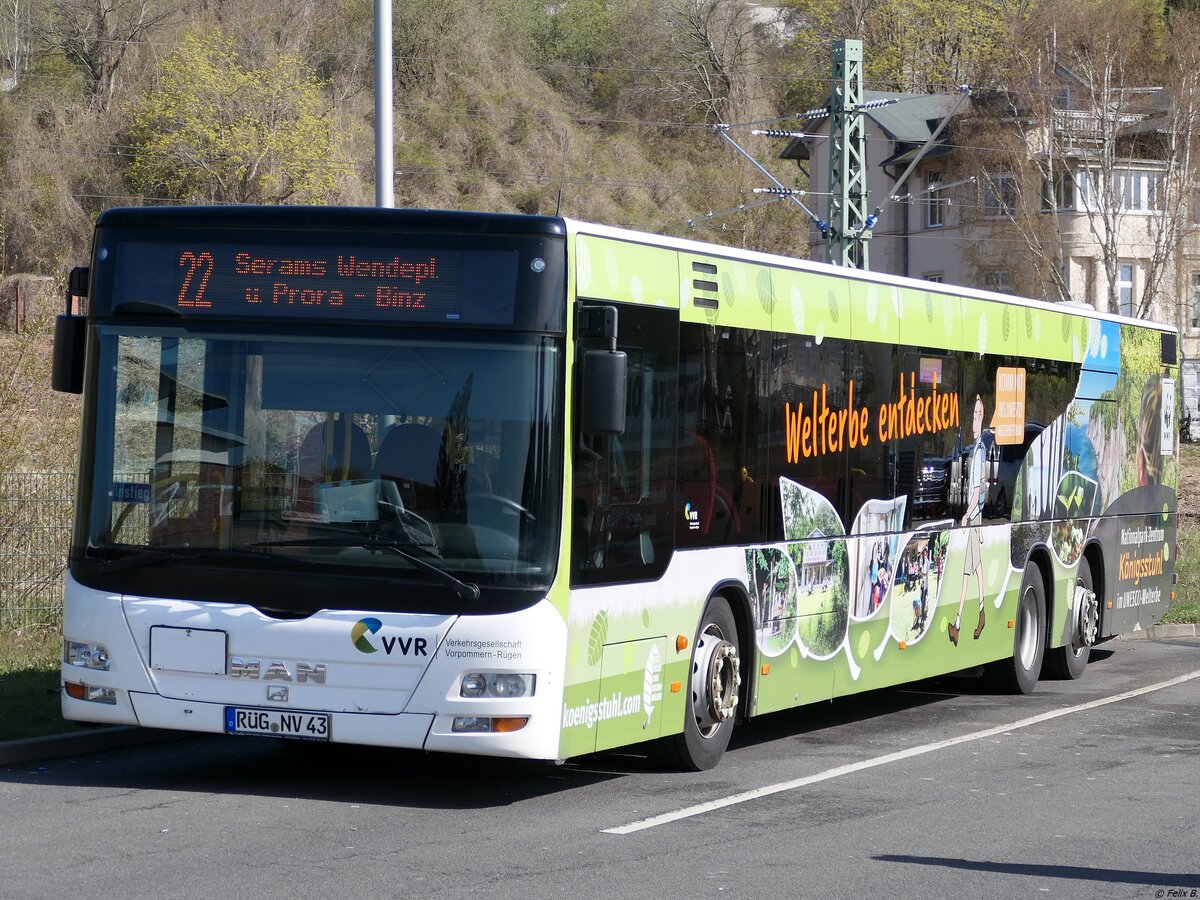MAN Lion's City der VVR in Sassnitz.