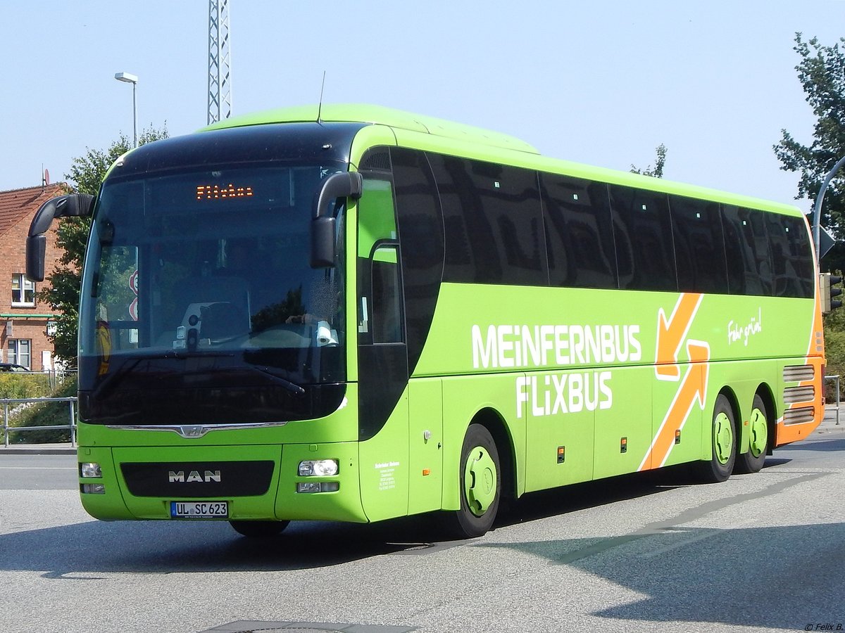 MAN Lion's Coach von Flixbus/Schröder aus Deutschland in Wismar. 