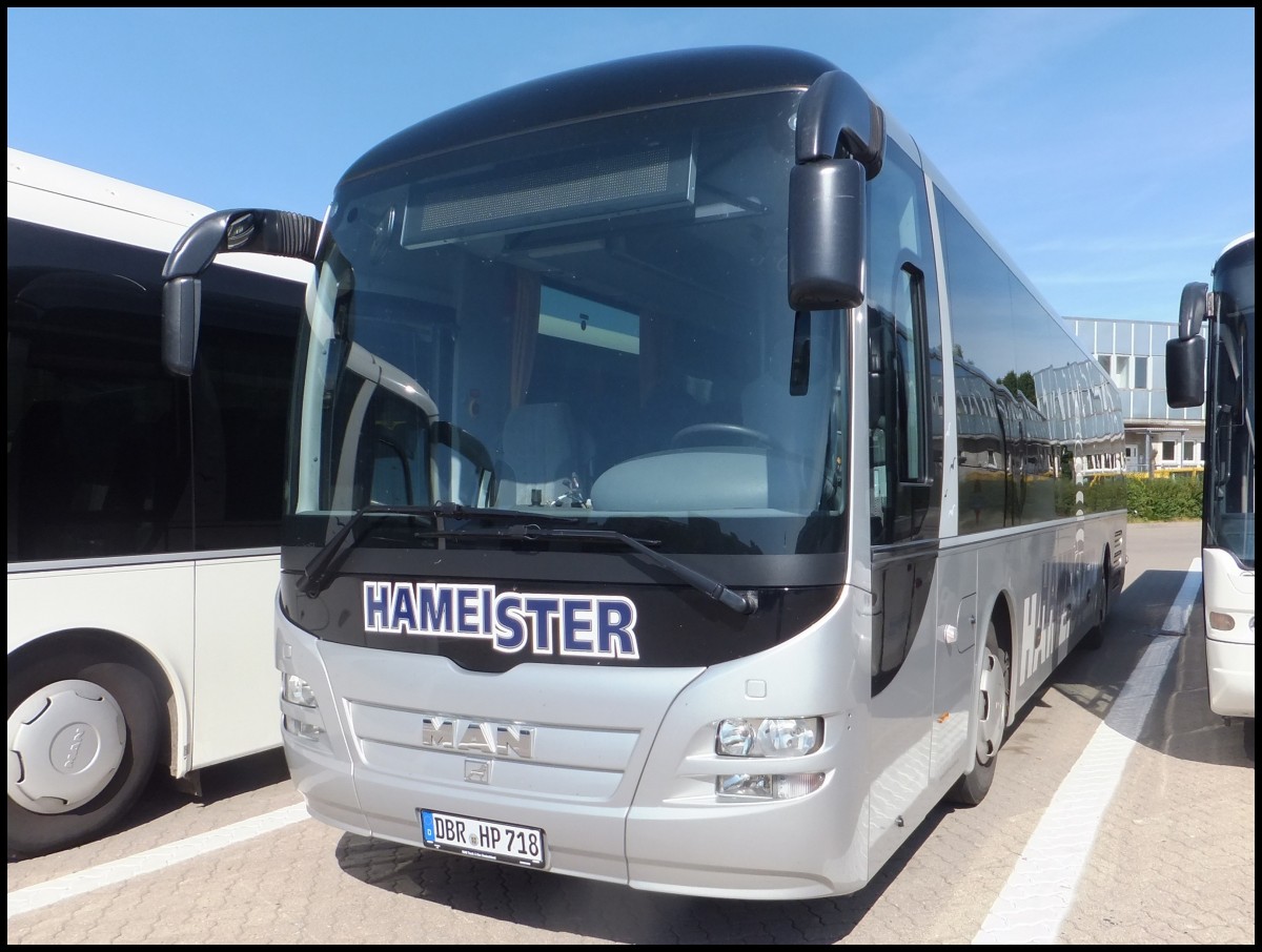 MAN Lion's Regio von Hameister aus Deutschland in Rostock.