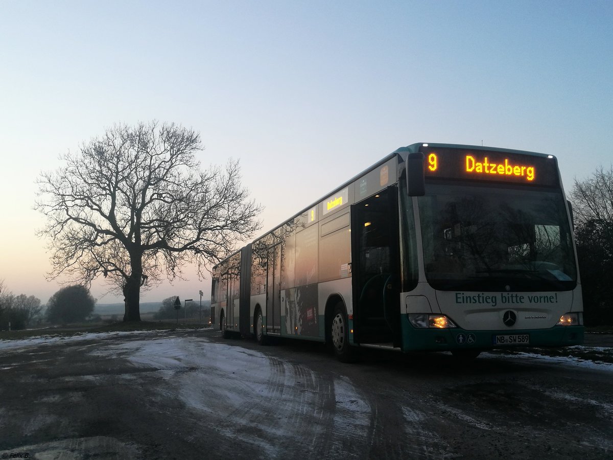 Mercedes Citaro II der Neubrandenburger Verkehrsbetriebe in Neubrandenburg.