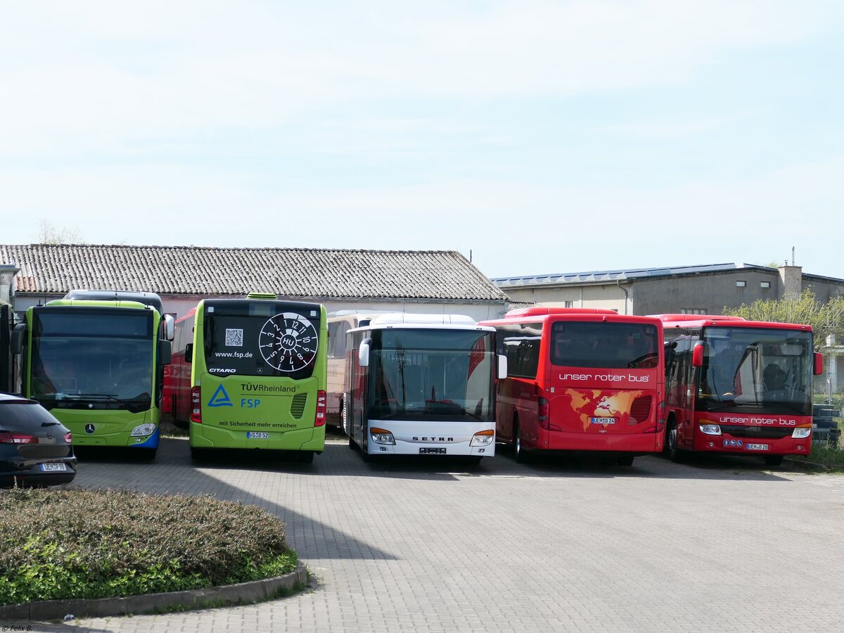 Mercedes Citaro III und Setra 415 NF/H/LE Business von URB aus Deutschland in Ueckermünde.