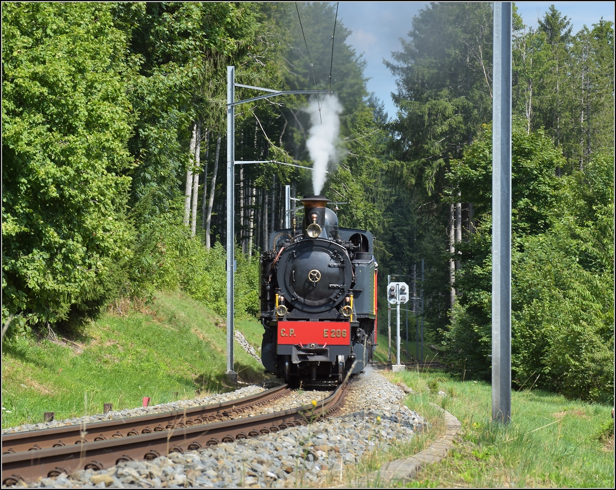 Mit der E 206 nach Tavannes. La Traction Sonderzug bei Les Reussilles. August 2019.