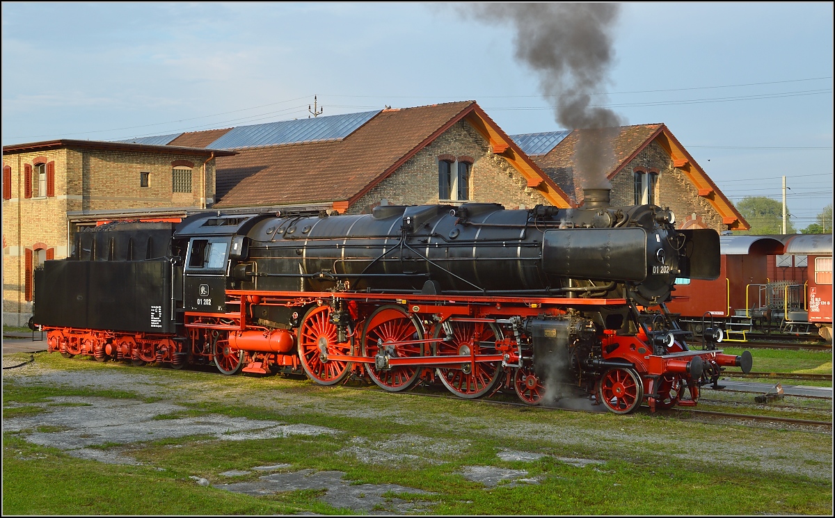 Nach getaner Arbeit, 01 202 beim Abdampfen in Romanshorn. Mai 2015.