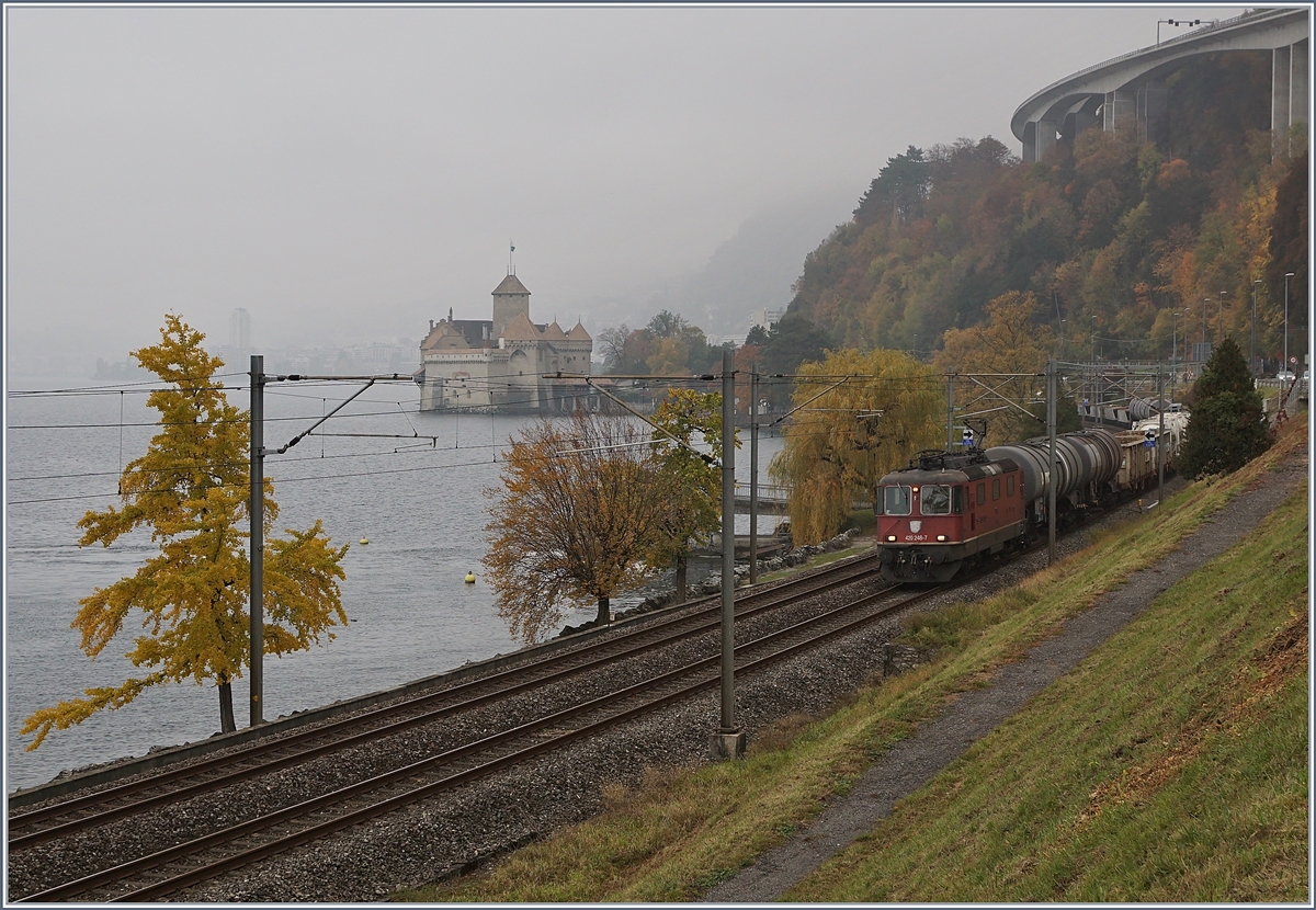 Nebel, an der Riviera eher selten, zeigt, dass es Herbst geworden ist, als die SBB Re 420 248-7 mit ihrem farblosen Schweizer Wappen beim Château de Chillon mit einem Güterzug dem Wallis zu strebt. 
6. Nov. 2018