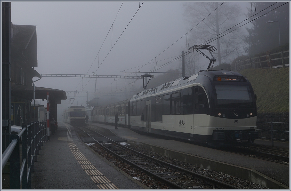 Nebel in Les Avants: Ein MOB Alpina bestehtne aus dem Be 4/4 9202, zwei Zwischenwagen und dem ABe 4/4  9302 als Regionalzug 2224 auf dem Weg nach Zweisimmen.
21. Dez. 2016
