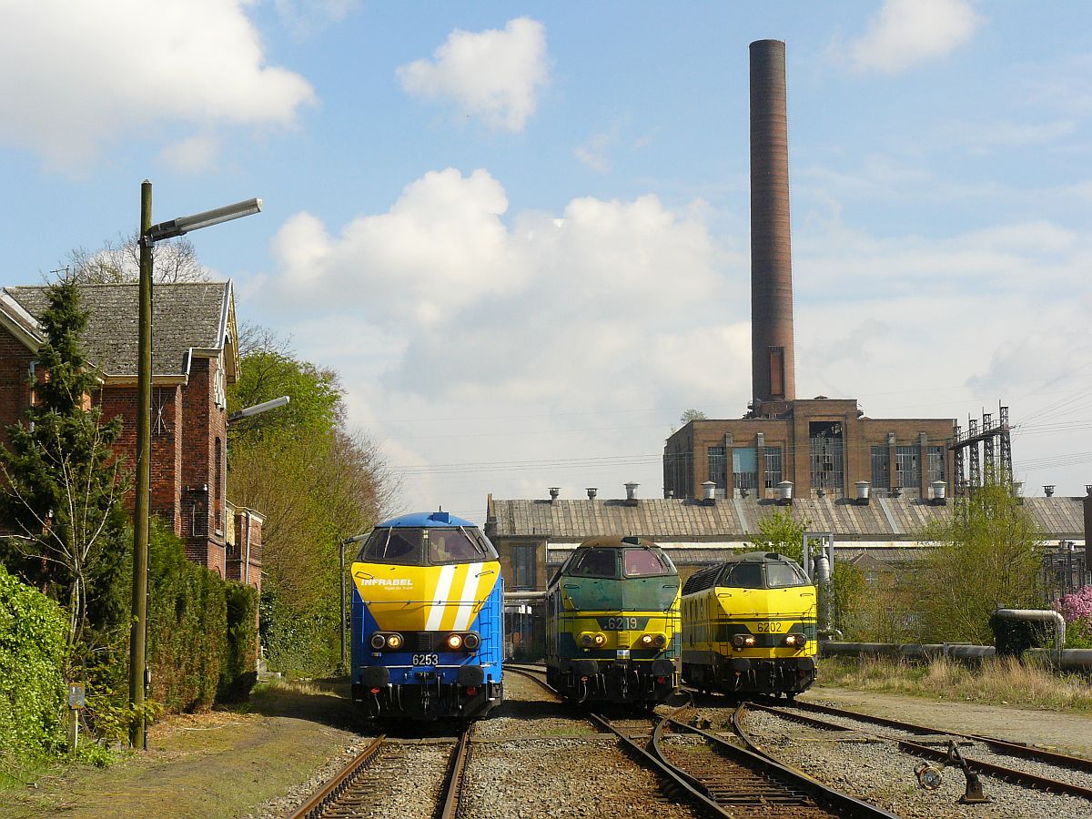 NMBS Diesellok 6202, 6219 und 6253 mit M2-Wagen. Sonderfahrt Museumsverein PFT/TSP. Langerbrugge 05-04-2014. 

NMBS diesellocomotieven 6202, 6219 en 6253 met M2-rijtuigen gefotografeerd tijdens rondrit van de TSP  Hulde aan de reeks 62 . Langerbrugge 05-04-2014.