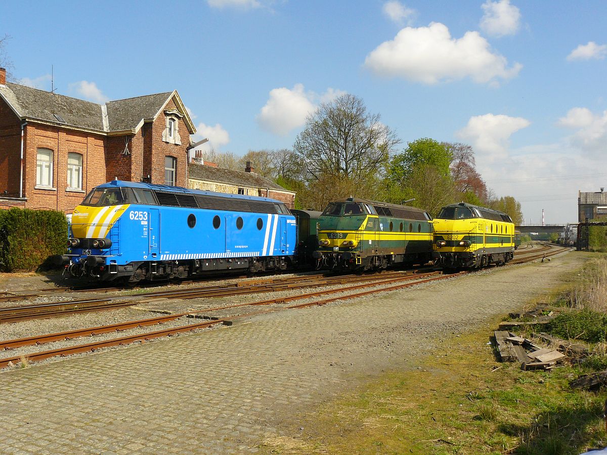 NMBS Diesellok 6202, 6219 und 6253 mit M2-Wagen. Sonderfahrt Museumsverein PFT/TSP. Langerbrugge 05-04-2014. 

NMBS diesellocomotieven 6202, 6219 en 6253 met M2 rijtuigen gefotografeerd tijdens rondrit van de TSP  hulde aan de reeks 62 . Langerbrugge Belgi 05-04-2014.