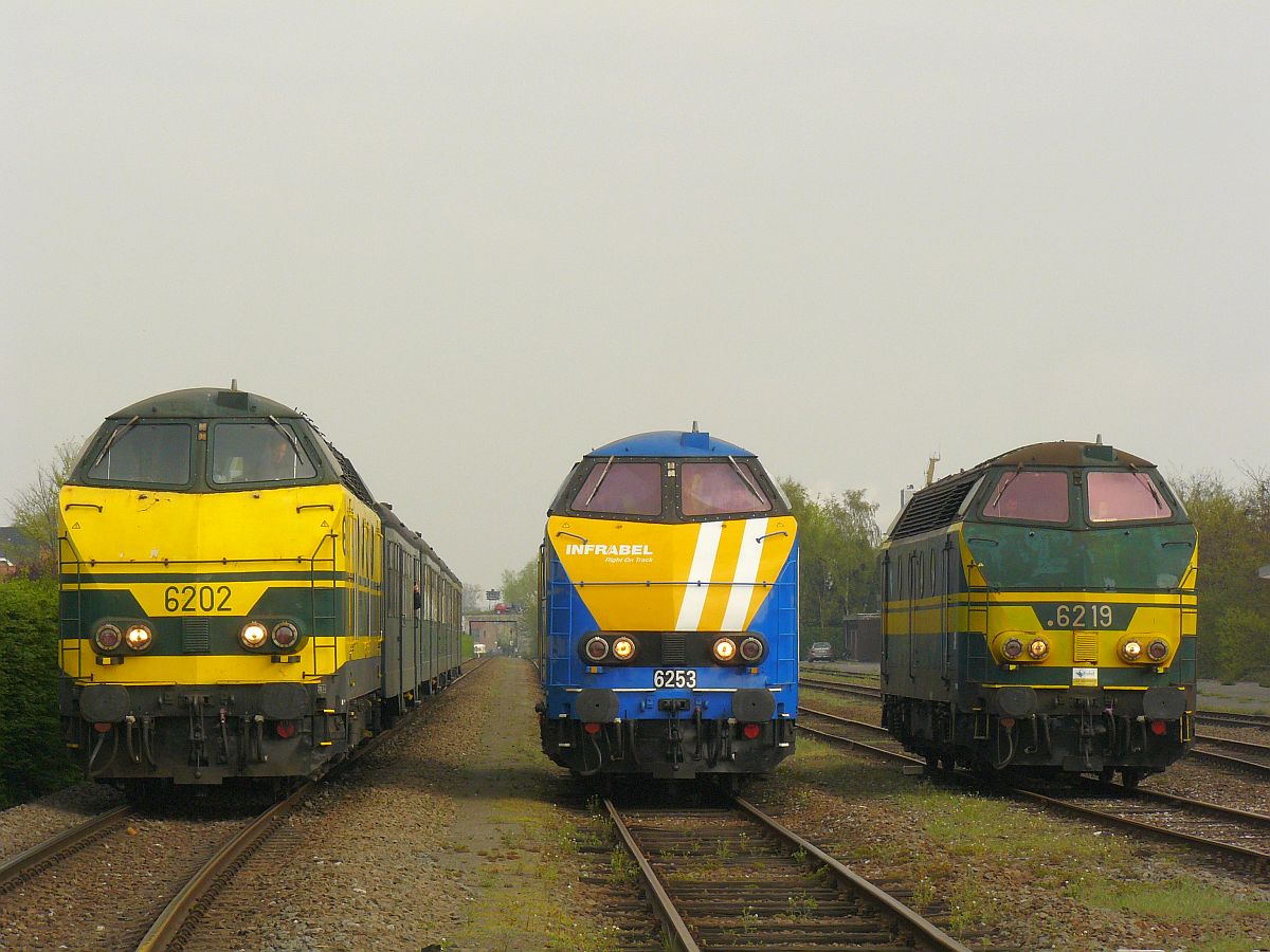 NMBS Diesellok 6202, 6219 und 6253. Sonderfahrt Museumsverein PFT/TSP. Zelzate, Belgien 05-04-2014. 

NMBS diesellocomotieven 6202, 6219 en 6253 tijdens rondrit van de TSP  Hulde aan de reeks 62 . Zelzate 05-04-2014. 