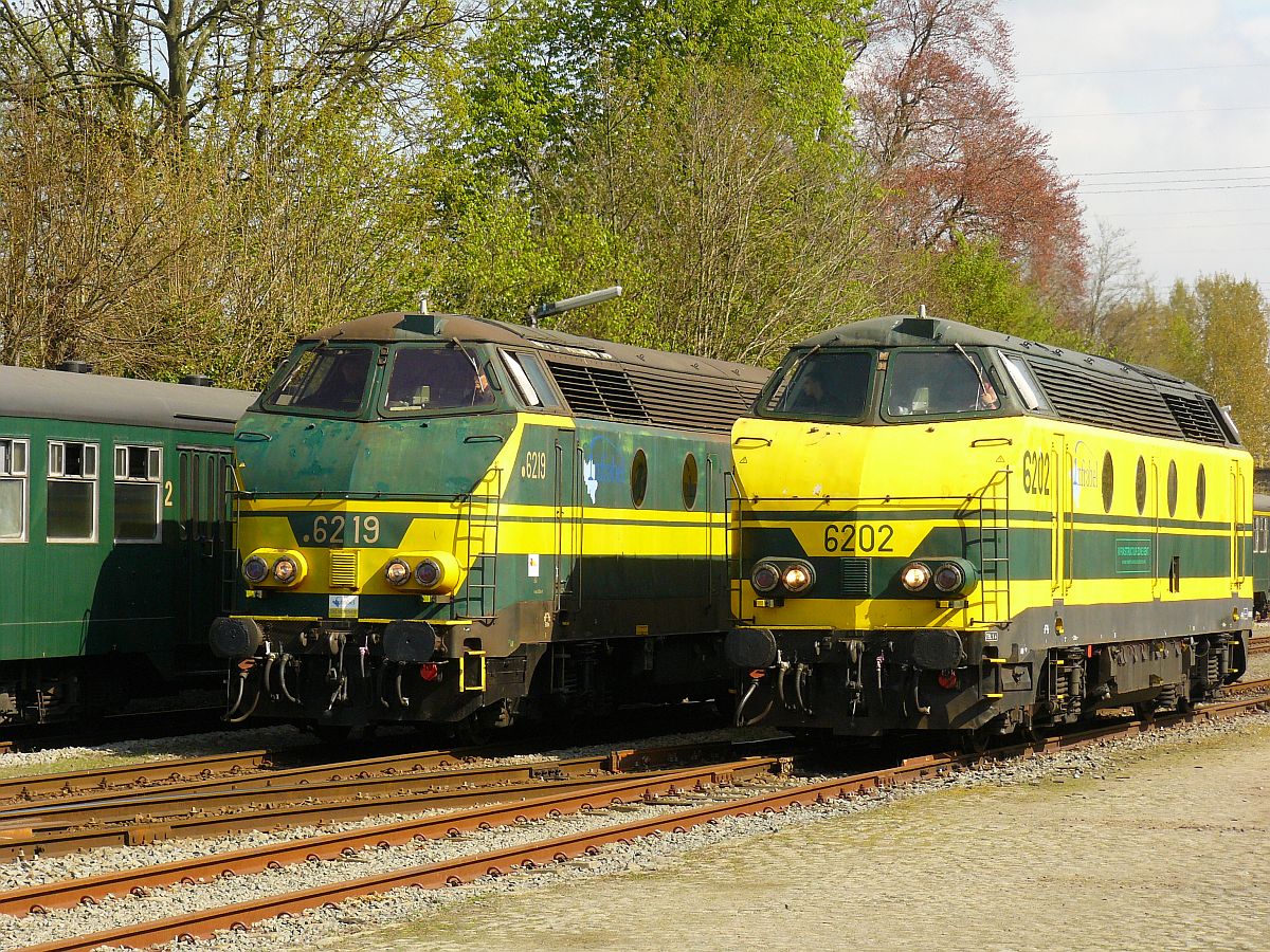 NMBS Diesellok 6202 und 6219 mit M2-Wagen. Sonderfahrt Museumsverein PFT/TSP. Langerbrugge 05-04-2014. 

NMBS diesellocomotieven 6202 en 6219 met M2-rijtuigen gefotografeerd tijdens rondrit van de TSP  Hulde aan de reeks 62 . Langerbrugge 05-04-2014.