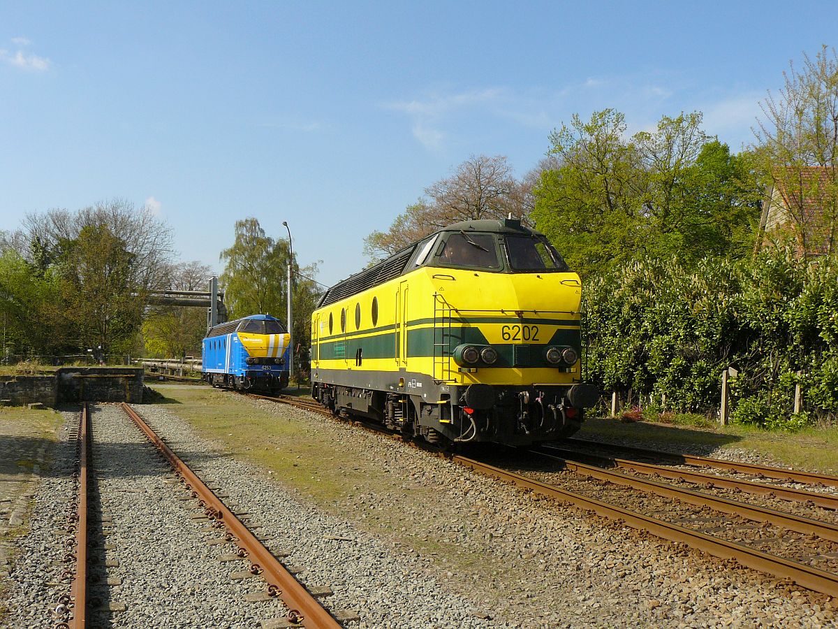 NMBS Diesellok 6202 und Infrabel Lok 6253. Sonderfahrt Museumsverein PFT/TSP  Hulde aan de reeks 62 . Bahnübergang Burggravenlaan, Langerbrugge Belgien 05-04-2014.

NMBS diesellocomotieven 6202 en Infrabel 6253 gefotografeerd tijdens rondrit van de TSP  Hulde aan de reeks 62 . Bij de overweg Burggravenlaan, Langerbrugge België 05-04-2014.