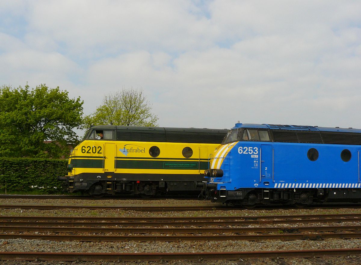 NMBS Infrabel Diesellok 6202 und 6253. Sonderfahrt Museumsverein PFT/TSP. Zelzate, Belgien 05-04-2014.

NMBS Infrabel diesellocomotieven 6202 en 6253 tijdens rondrit van de TSP  Hulde aan de reeks 62 . Zelzate 05-04-2014.
