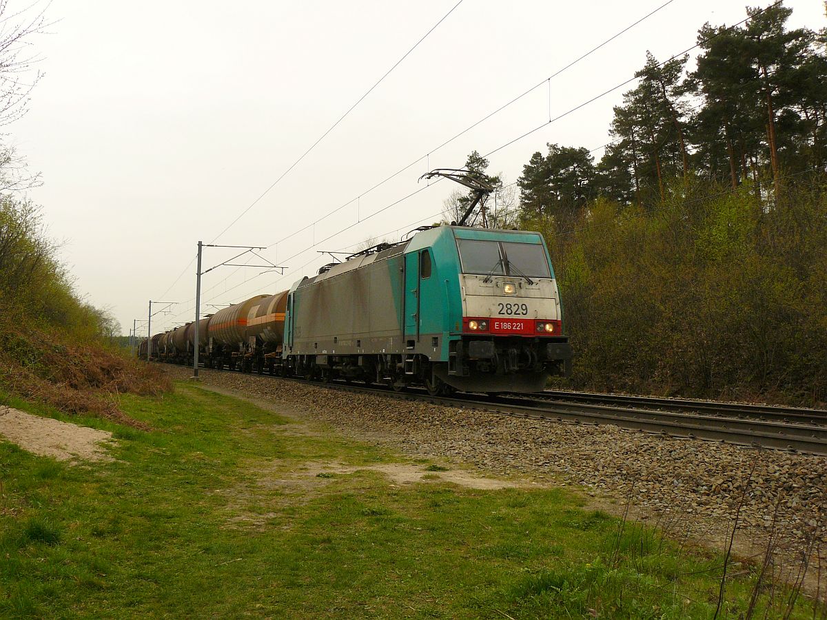 NMBS Lok 2829 mit G�terzugbei Gemmenich, Belgien 04-04-2014.

NMBS locomotief 2829 met een ketelwagentrein. Spoorlijn Montzen-Aachen Rue d'Aix bij Gemmenich, Belgi� 04-04-2014.