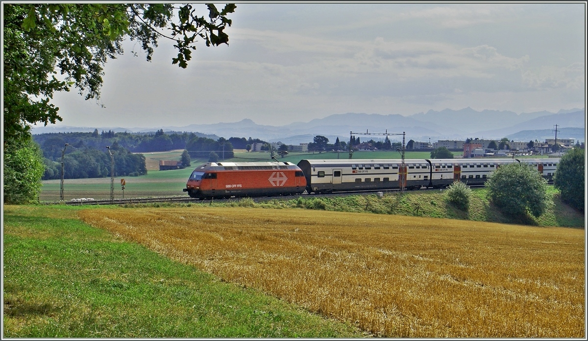 Noch unter alten Fahrleitungsmasten (und deshalb kaum zu sehen) ist eine SBB Re 460 mit ihrem IC bei Rosé einige Minuten vor Fribourg auf dem Weg nach St.Gallen.

6. August 2015