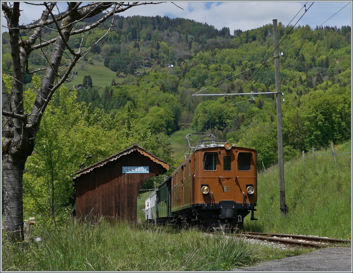  Nostalgie & Vapeur 2021  /  Nostalgie & Dampf 2021  - so das Thema des diesjährigen Pfingstfestivals der Blonay-Chamby Bahn; die Bernina Bahn RhB Ge 4/4 81 verlässt Cornaux in Richtung Chamby. 

22. Mai 2021