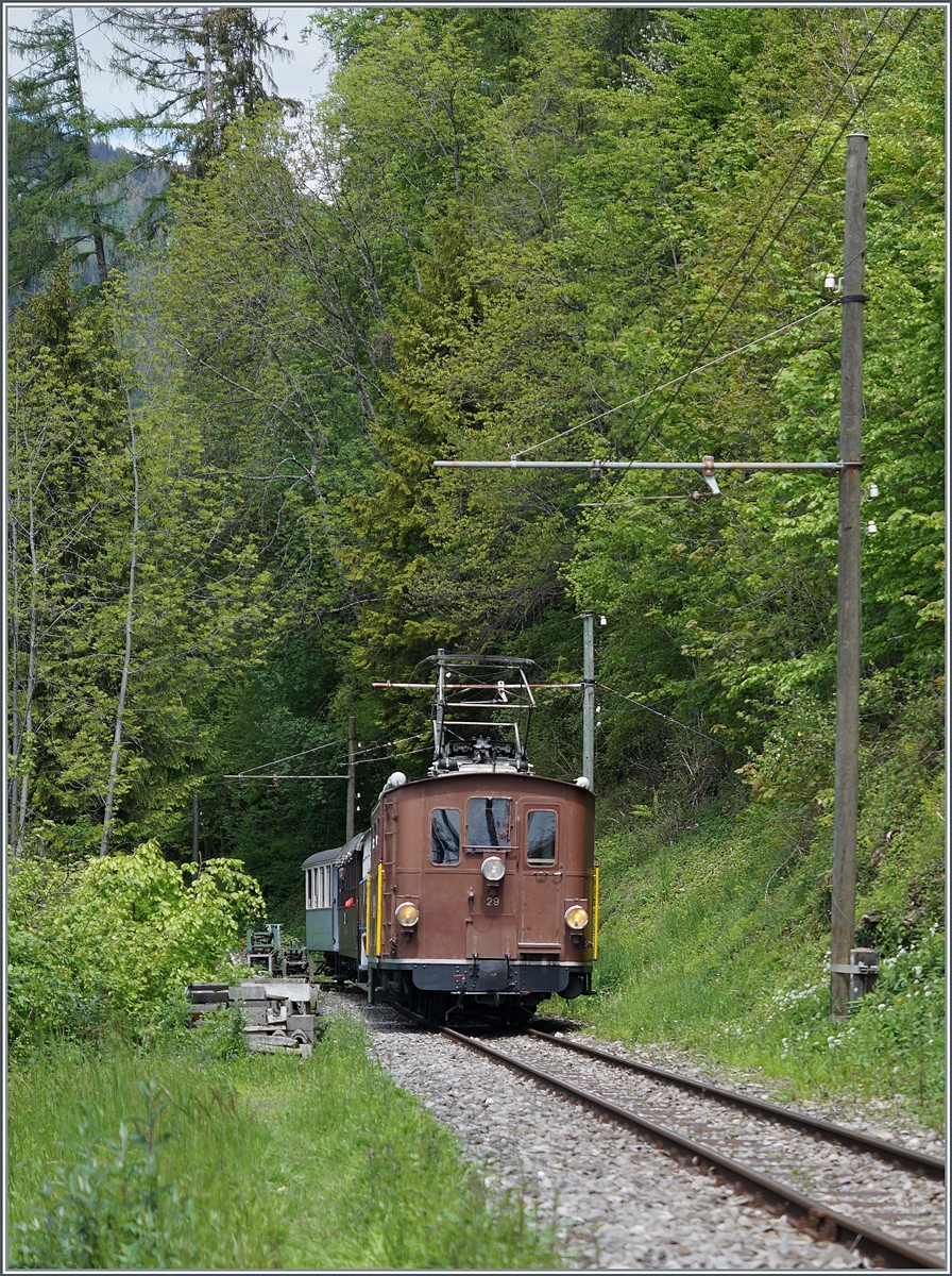 Nostalgie & Vapeur 2021 (Pfingstfestival) - Die Blonay-Chamby Bahn BOB  HGe 3/3 29 ist mit einem Personenzug von Blonay nach Chaulin unterwegs und erreicht in Kürze Chamby

22. Mai 2021