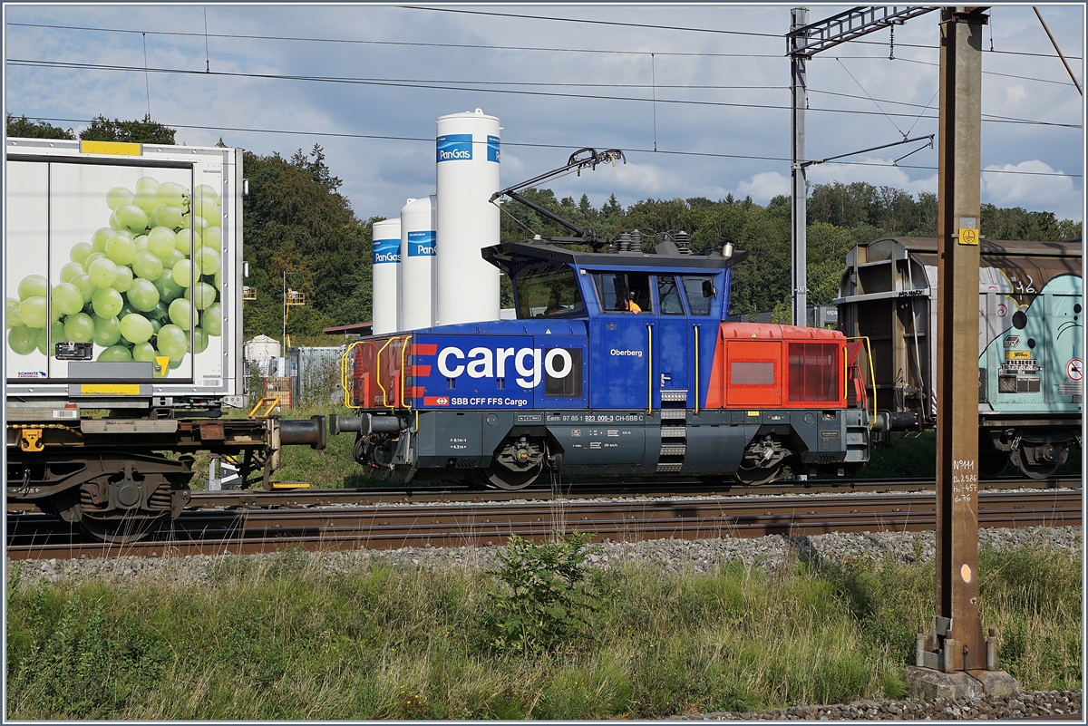 Obwohl klein, passt die Lok nur knapp zwischen den Masten und den abgestellten Wagen: die SBB Cargo Eem 923 005-3  Oberberg  (UIC Eem 97 85 1 923 005-3 SBB-C) in Vufflens la Ville.
29. Aug. 2018