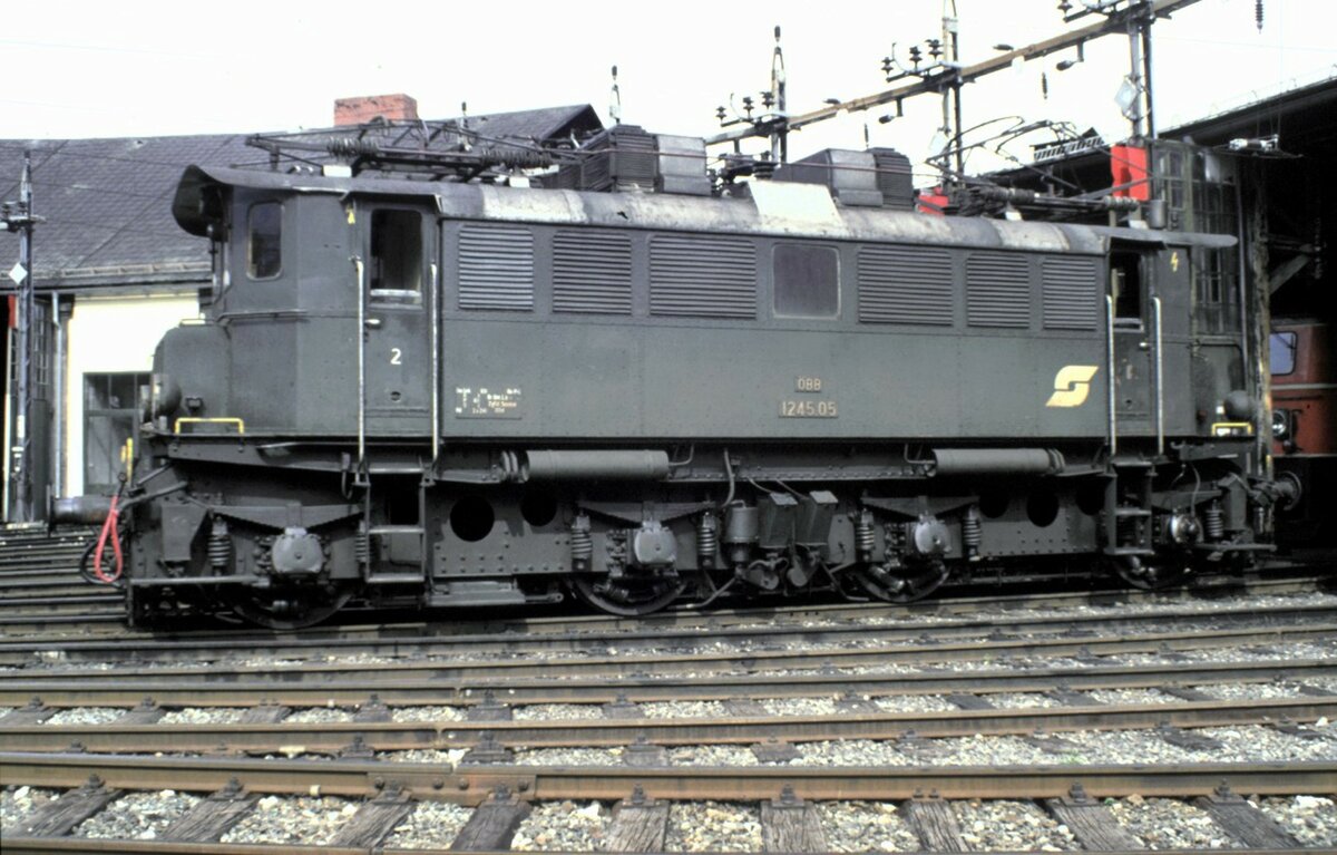 ÖBB 1245.05 in Slztal am 17.08.1986.