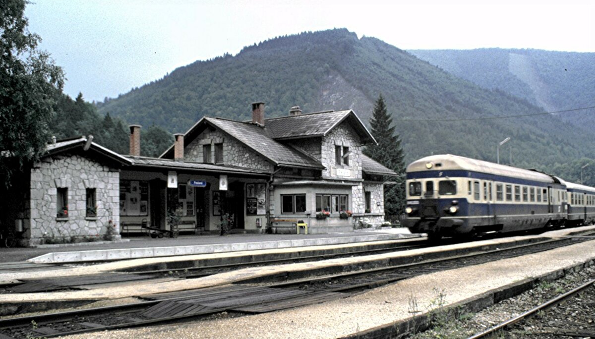 ÖBB 5146.203 in Freiland am 08.08.1986.
