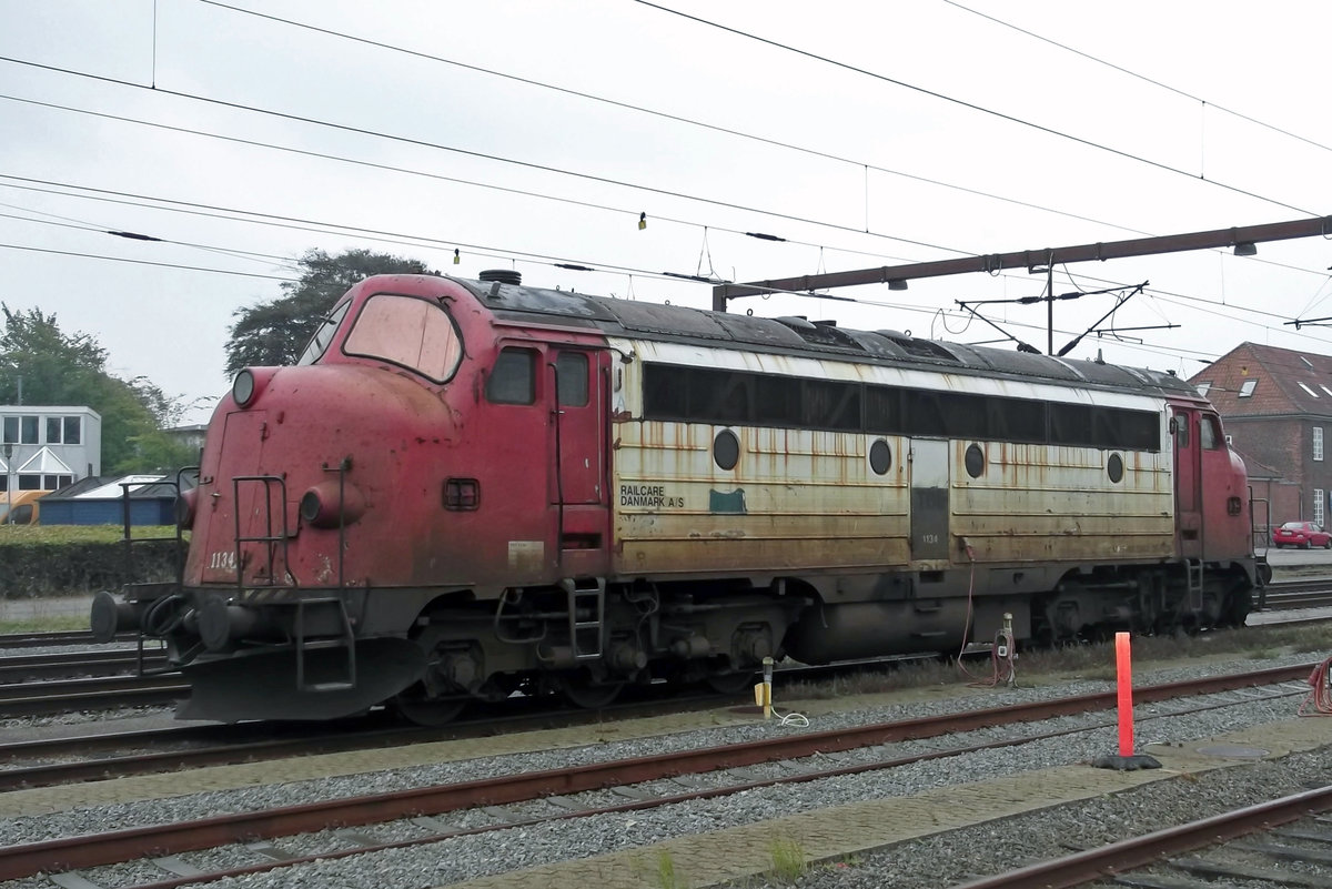 RailCare MY 1134 steht am grauen 24 September 2014 in Padborg.