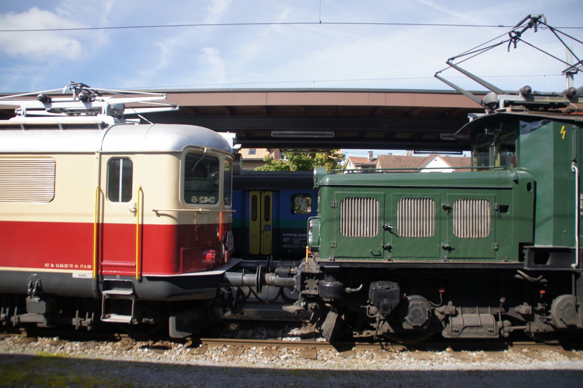 Re 4/4 I Trifft Krokodil, anlässlich einer Sonderfahrt nach Einsiedeln.