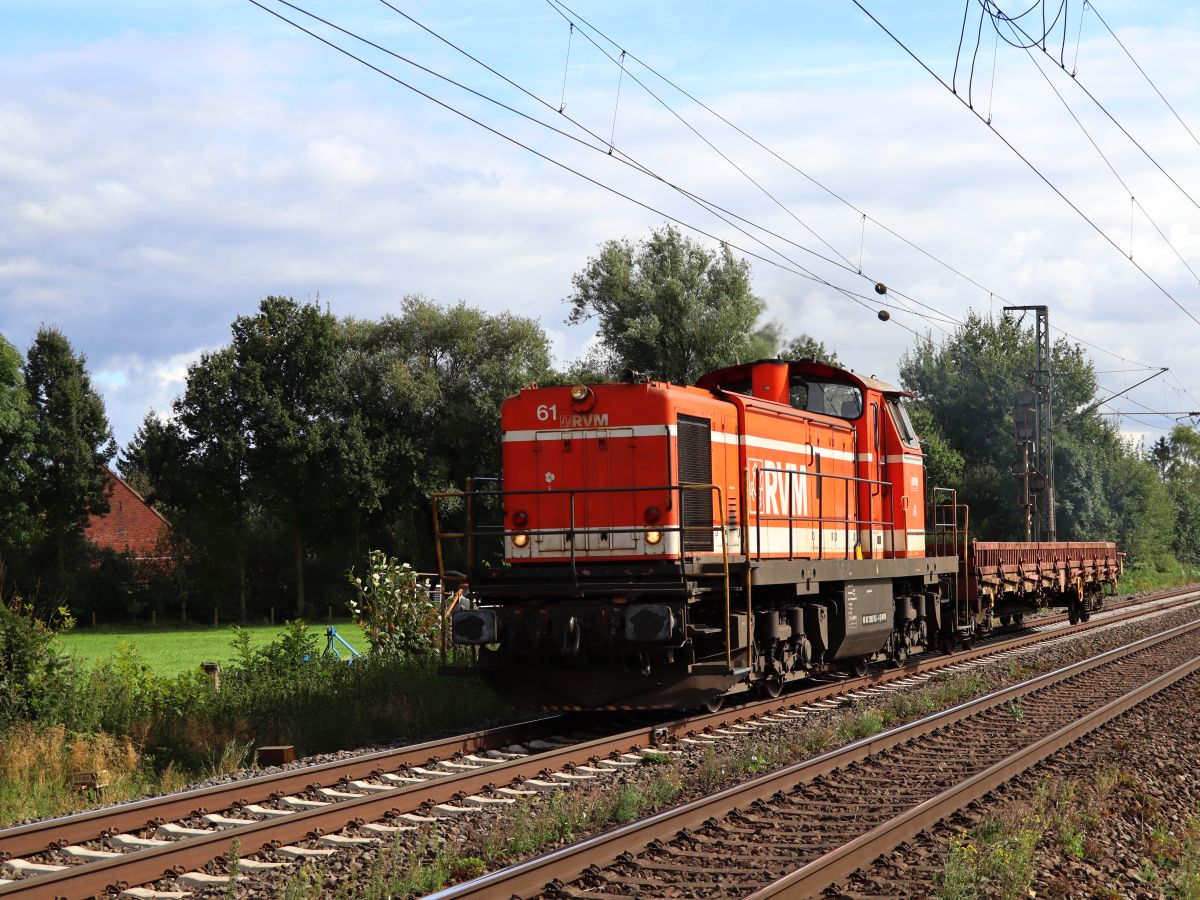 RVM (Regionalverkehr M�nsterland GmbH, M�nster) Diesellokomotive  61 (98 80 3295 953-4 D-RVM) type MaK G 1600 BB Baujahr 1974 Devesstra�e, Salzbergen 16-09-2021.

RVM (Regionalverkehr M�nsterland GmbH, M�nster) diesellocomotief  61 (98 80 3295 953-4 D-RVM) type MaK G 1600 BB bouwjaar 1974 Devesstra�e, Salzbergen 16-09-2021.