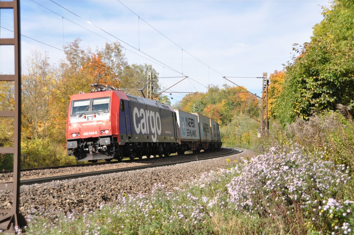 SBB 482 048-6 der SBB Cargo mit Mars Taschenwagenzug in Ulm am 21.10.2014.
