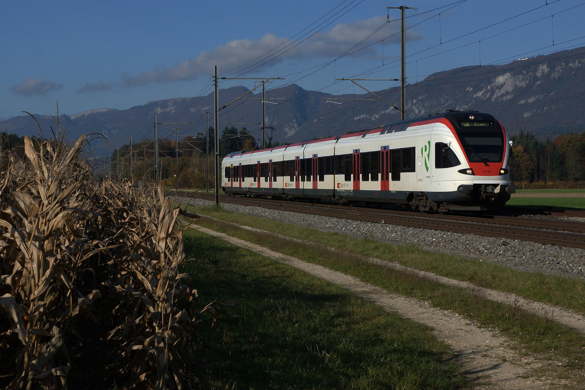 SBB: Regio Biel-Olten mit RABe 523 FLIRT bei Deitingen am 3. November 2016.
Foto: Walter Ruetsch  