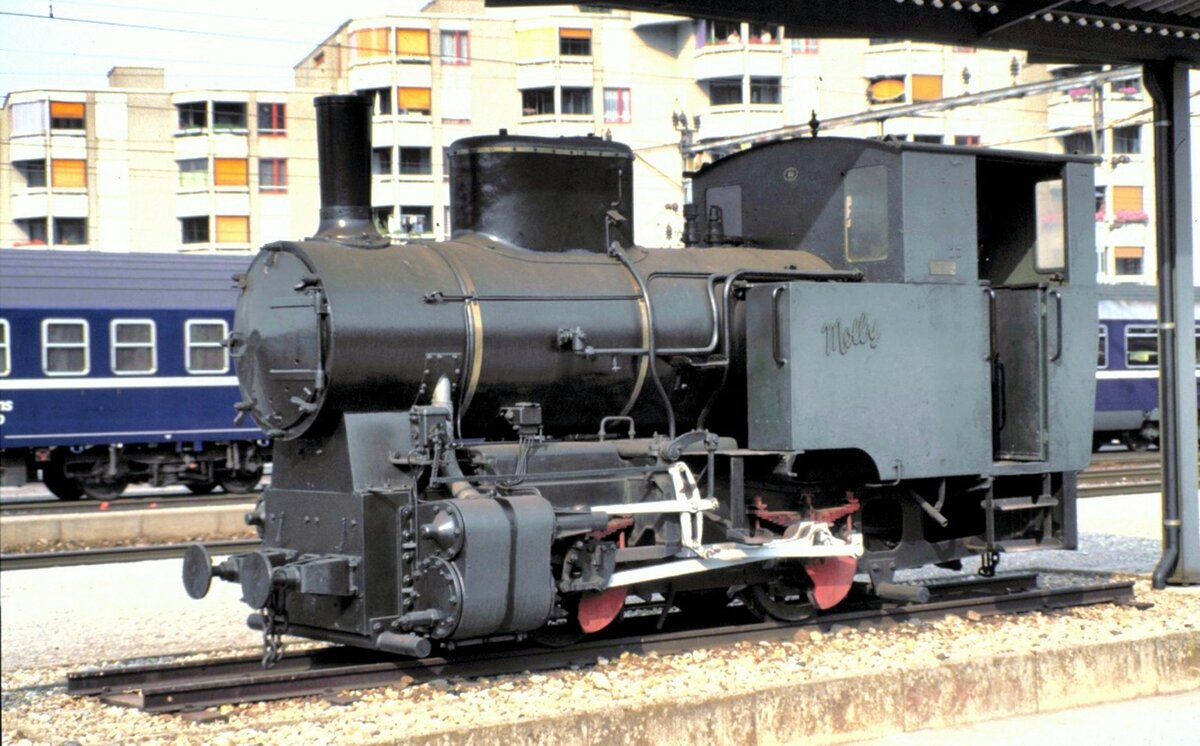 Schmalspur Dampflok Molly 600mm Spurweite in Turgi auf dem Sockel am 18.08.1984. Die Lok gehrt heute zum fahrenden Material bei der Schinznacher Baumschulenbahn.