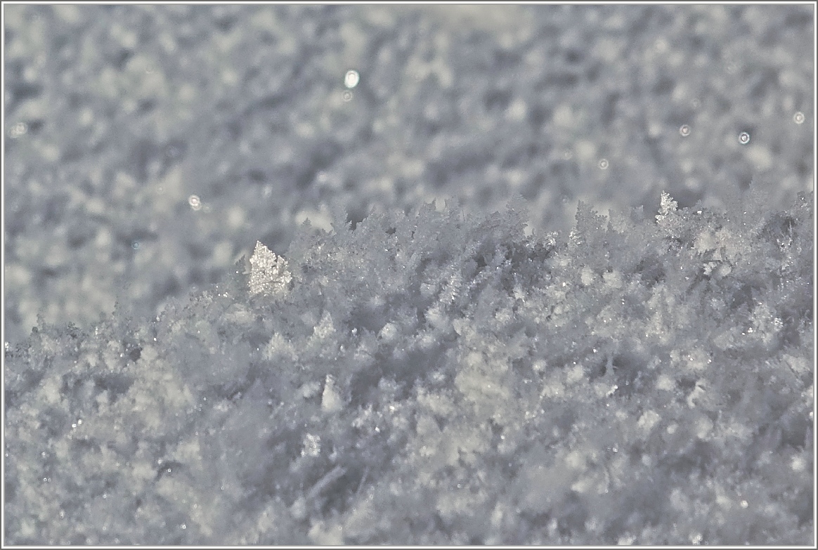 Schnee
(03.02.2015)