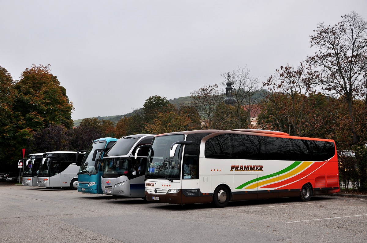 Schne Busse,aber nicht viel los,rechts der Mercedes Benz Travego von Prammer Busreisen aus sterreich am 11.10.2014 in Krems.