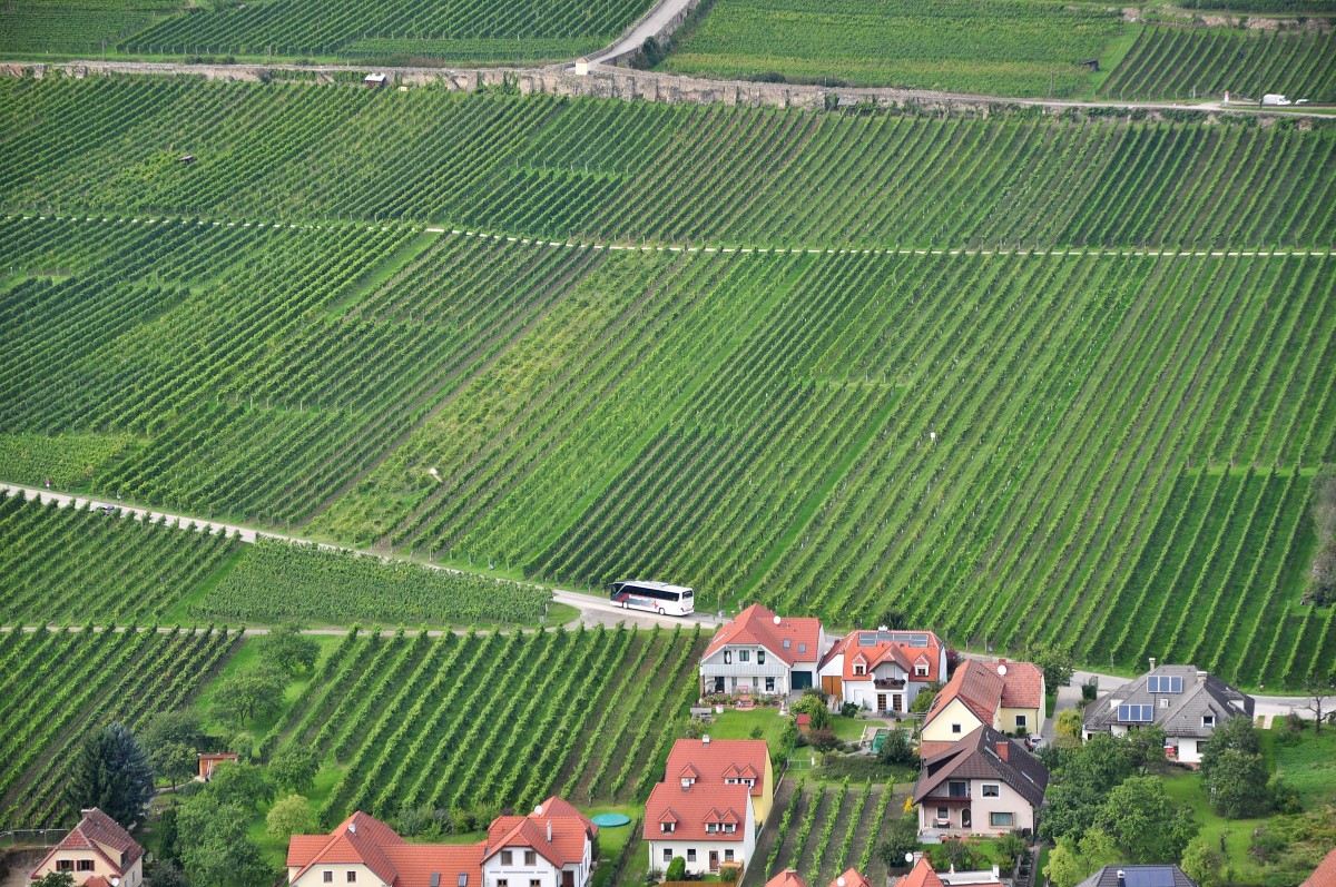 Setra von Krautgartner aus sterreich hier in Loiben in der Wachau zwischen Krems und Drnstein / Wachau,linkes Ufer unterwegs.12.9.2014,Aufnahme vom anderen Donauufer auf der Ferdinandswarte aus gemacht!