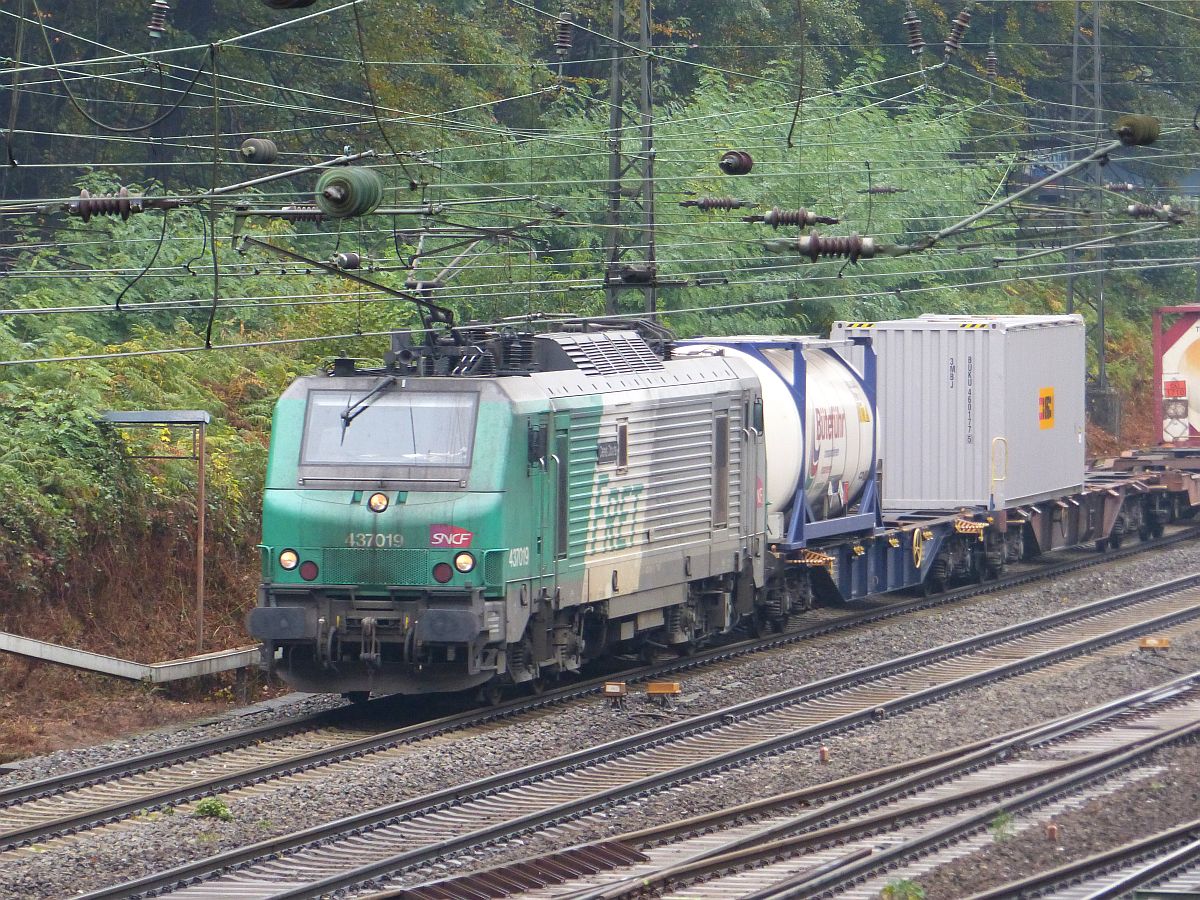 SNCF FRET Lok 437019 Abzweig Lotharstrasse, Forsthausweg, Duisburg, Deutschland 20-10-2016.

SNCF FRET loc 437019 Abzweig Lotharstrasse, Forsthausweg, Duisburg, Duitsland 20-10-2016.
