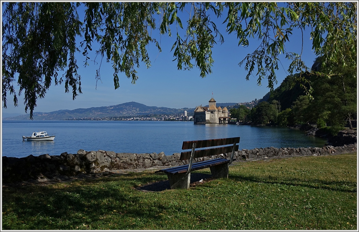 Sommer am Genfersee
(27.06.2014)