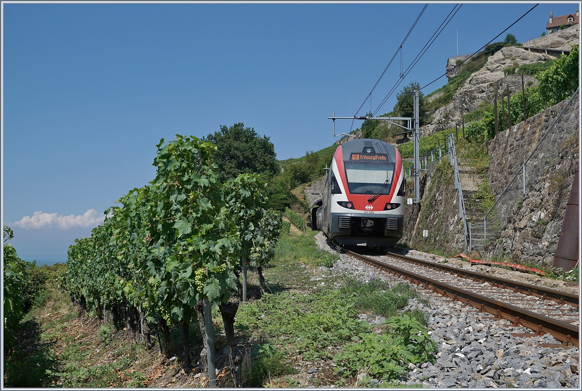 Sommerfahrplan 2018: Der RE 30219 auf dem Weg nach Fribourg oberhalb von St-Saphorin.

19. Juli 2018