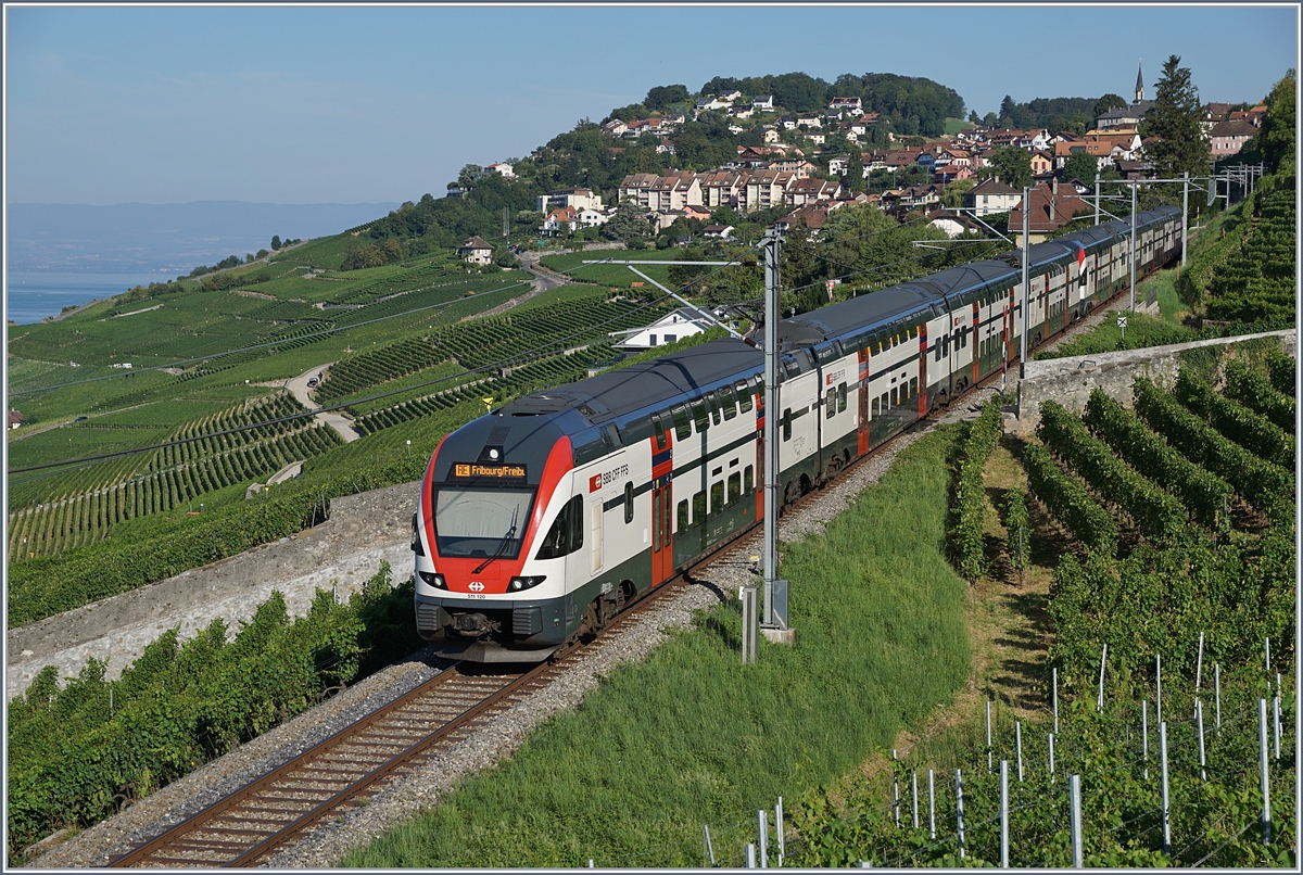 Sommerfahrplan 2018: durch die baubedingte Sperrung der Strecke Lausanne - Puidoux-Chexbres verkehren während des Sommerfahrplan die RE Genève - Vevey via Chexbres weiter bis Fribourg. die Bilder zeigen die Zusatzzüge auf der  Train de Vignes Strecke  am frühen Morgen oberhalb von Rivaz, bei Chexbres.
27. Juli 2018