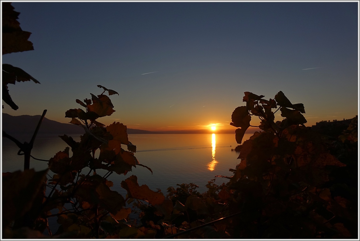 Sonnenuntergang am Genfersee
(16.10.2017)