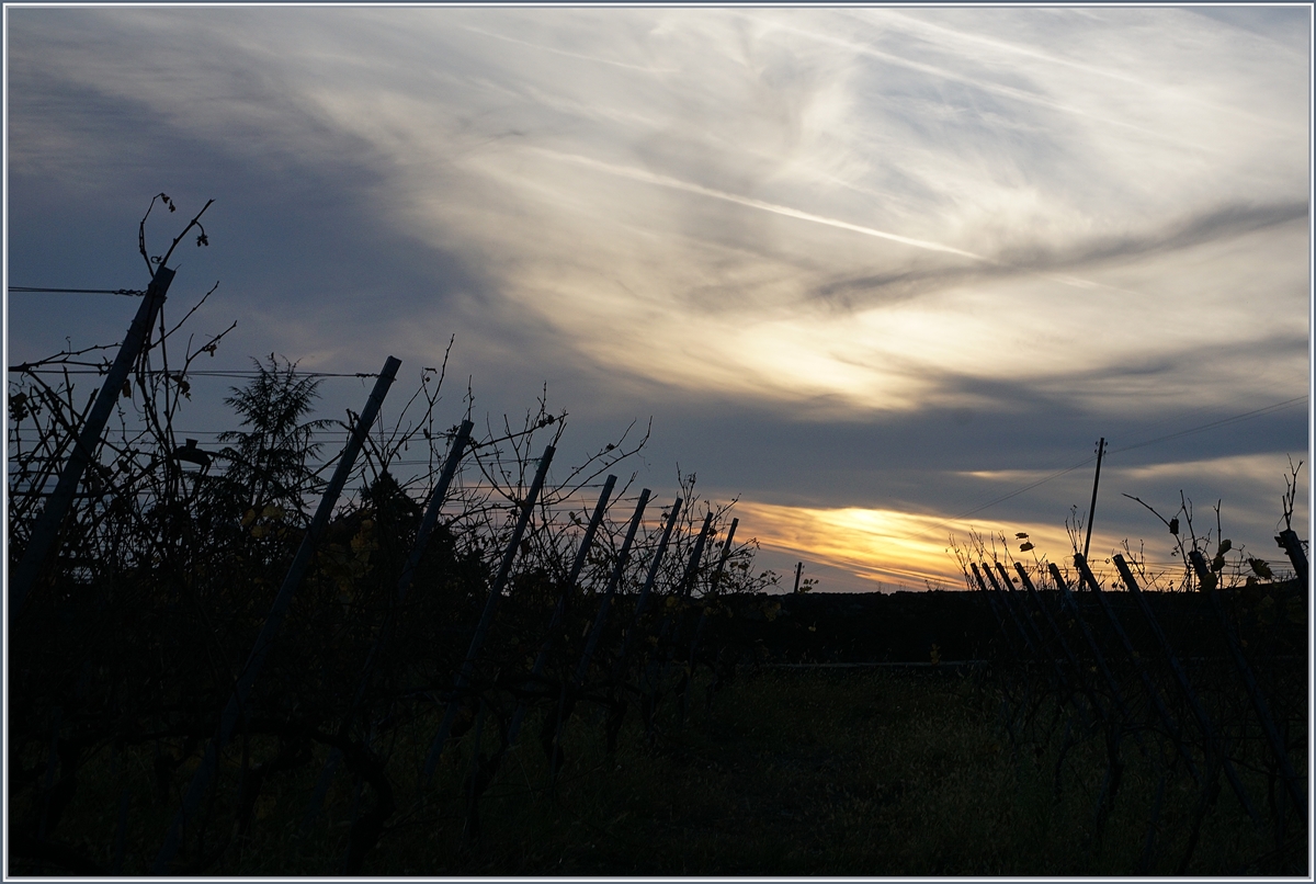 Spätherbstliche Abendstimmung in den Rebbergen bei Lutry.
Nov. 2017