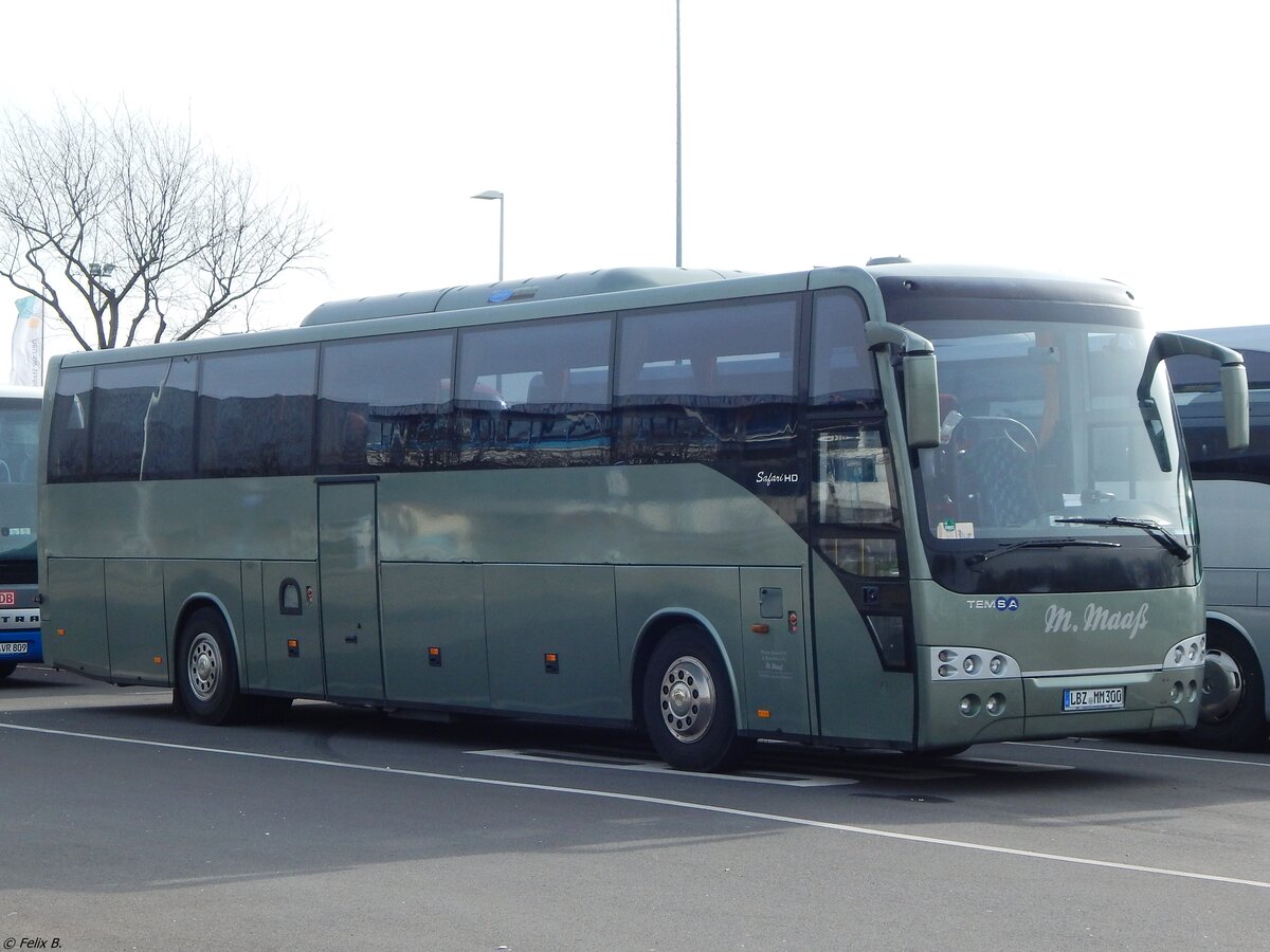 Temsa Safari HD von Plauer Busbetrieb M. Maaß aus Deutschland in Neubrandenburg.