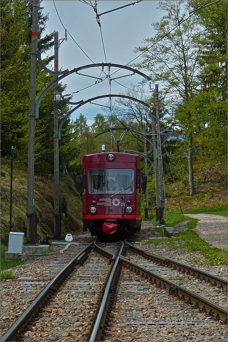 Triebzug 21 der Rittnerbahn, (ex Trognerbahn), nhert sich der Kreuzungsstelle Lichtenstern (Stella). 15.05.2019 (Hans) 