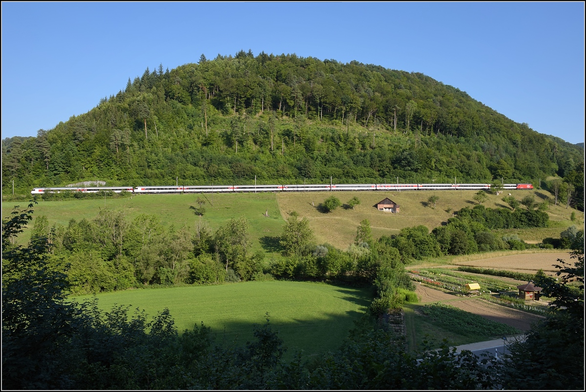 Umleiterverkehr auf dem Lufelfingerli. Ein Zug mit EW IV und einem Verstrkermodul umfhrt einen der typischen Tafelberge im Jura. Fr noch lngere Zge, die eher der Regelfall sind, reicht der Berg leider nicht... Rmlingen, Juli 2018.