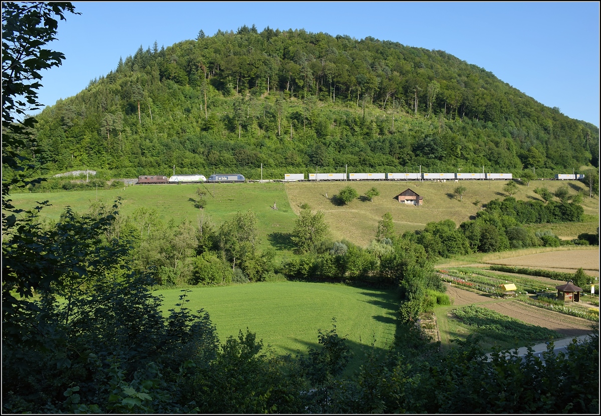 Umleiterverkehr auf dem Läufelfingerli. Re 425 172, Re 465 008  Berggemeinden  und Re 465 010 führen einen längeren Güterzug richtung Basel. Rümlingen, Juli 2018.