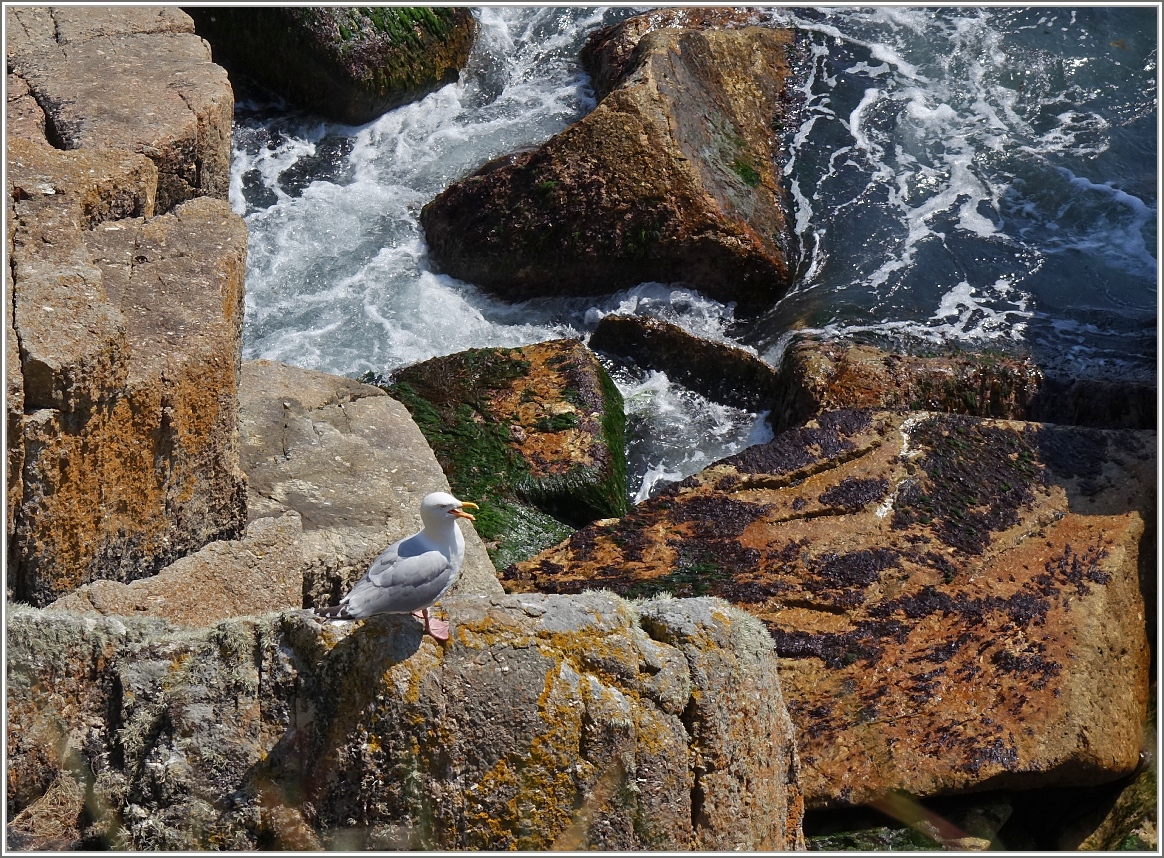 Verschnaufpause 
(16.05.2014)