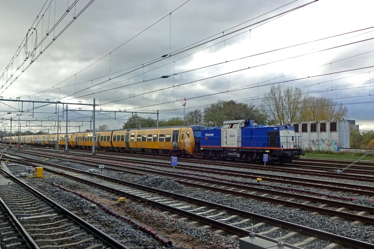 Volker rail 203-5 rangiert mit z-gestellte Triebzge in Nijmegen am 13 November 2019.