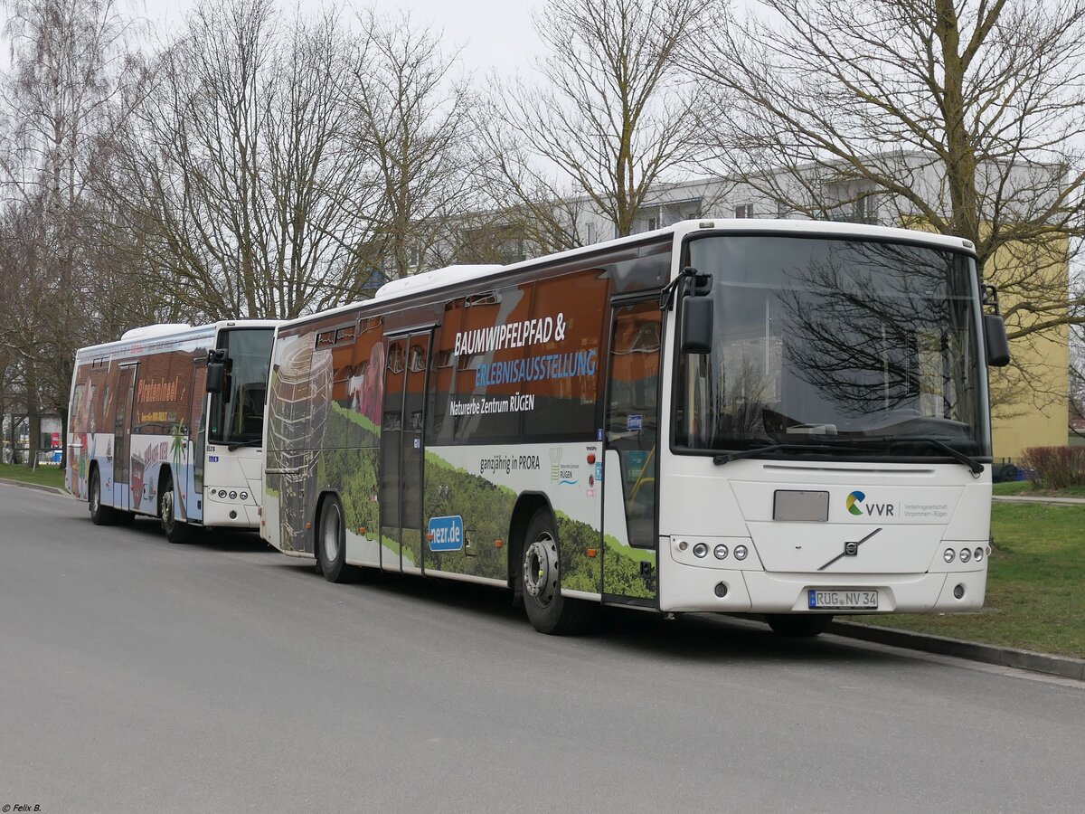 Volvo 8700 der VVR in Sagard.