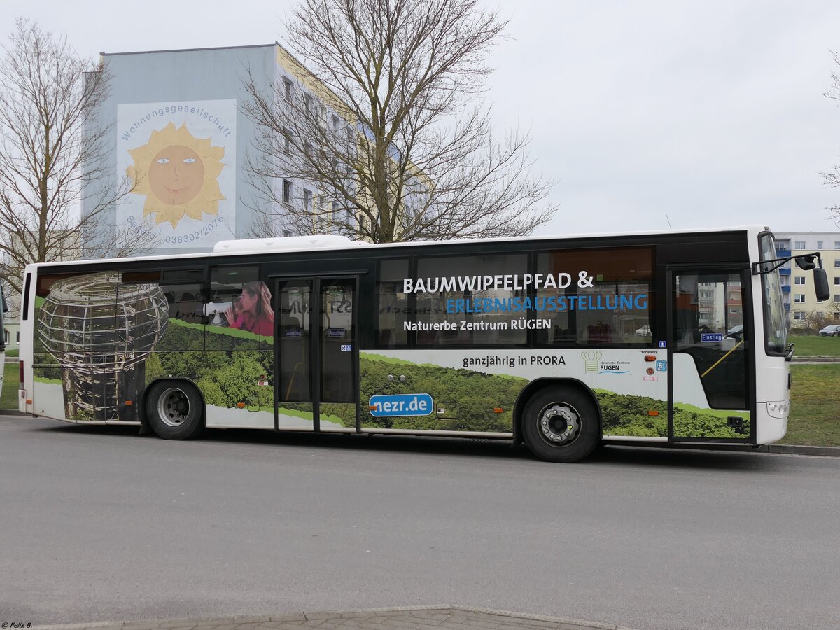 Volvo 8700 der VVR in Sagard.