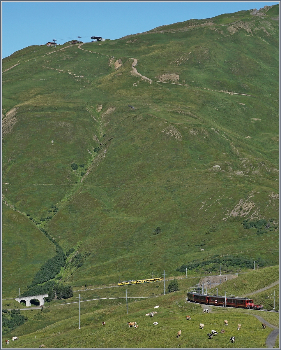 Vor wenigen Minuten haben ein bergwärts fahrenden JB Zug (im Vordergrund) und eine talwärts fahrender WAB Zug (im Hintergrund) die Kleine Scheidegg verlassen. 

8. August2016