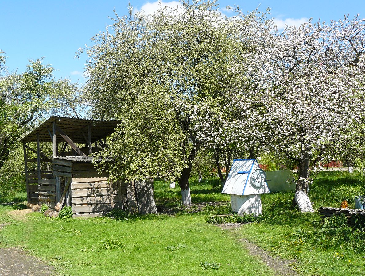 Vul. Pavlyk, Lavrykiv 05-05-2014.