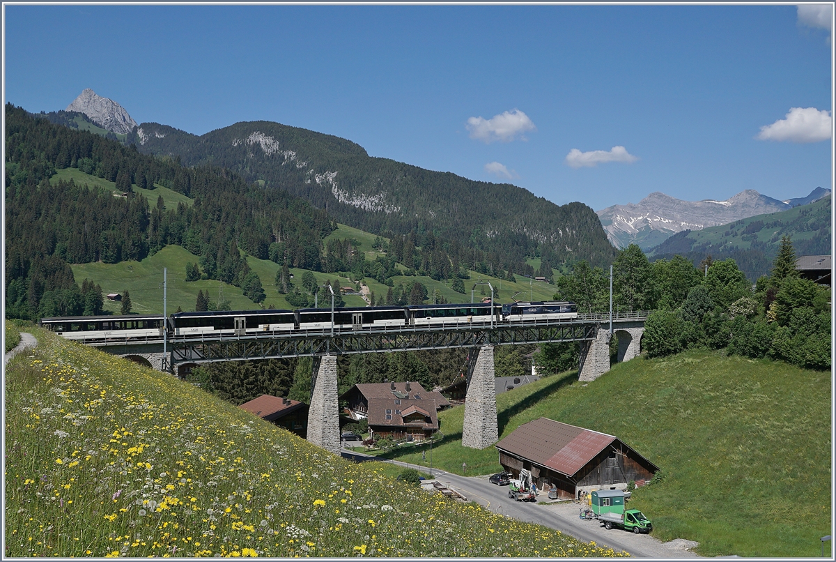 Während man bei den Zügen aus Richtung Zweisimmen erst sieht was da kommt, wenn sie bereits auf dem Grubenbach Viadukt bei Gstaad sind, erspäht man die Züge aus der Gegenrichtung schon gut drei bis vier Minuten vorher, kurz nach der Abfahrt in Saanen. Dies war bei der hier zu sehenden Aufnahme von Vorteil, denn die MOB Ge 4/4 mit ihrem PE 2118 als Komposition ohne Steuerwagen hätte einen schlechten Nachschuss abgegeben, so konnte ich kurzfristig die Fotostelle wechseln und den Zug von der Seite her fotografieren. 

2. Juni 2020 