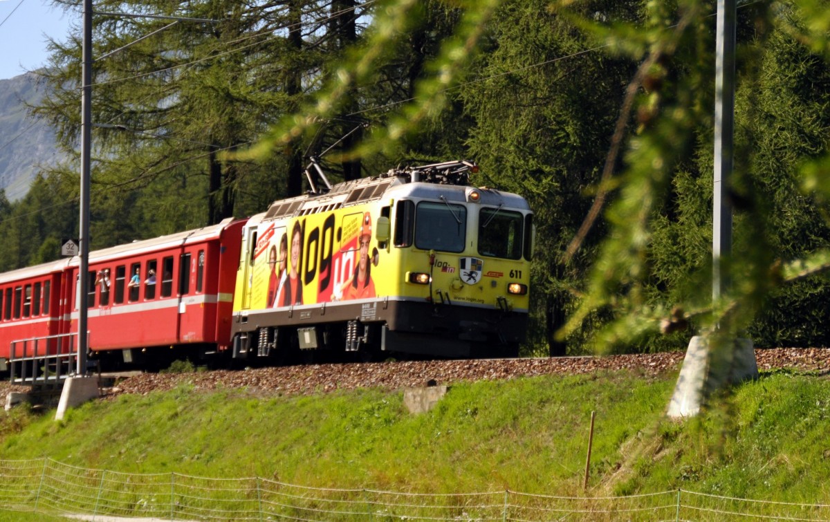 Wie auf einer Modellbahn fährt die Ge 4/4 II Nr.611 bei Bever durch das Bevertal am 19.08.2009. 